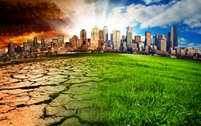 Top 7 Mistakes Businesses Make With Web Hosting